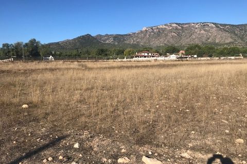 Helårsgrund i Salinas, Alicante, Salinas - € 98.000 | Ref: AMSLN-JP98 - foto 6