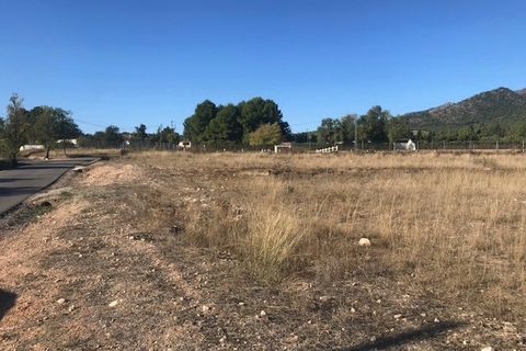 Helårsgrund i Salinas, Alicante, Salinas - € 98.000 | Ref: AMSLN-JP98 - foto 7