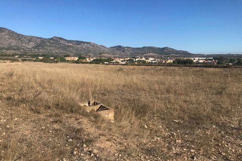 Helårsgrund i Salinas, Alicante, Salinas - € 98.000 | Ref: AMSLN-JP98 - foto 9