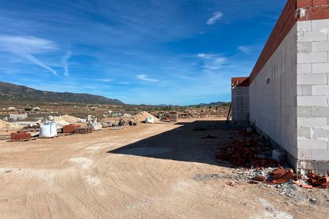 Villa i Pinoso, Alicante, Pinoso - € 370.000 | Ref: AMAM-VILLA ESPLIEGO - foto 13
