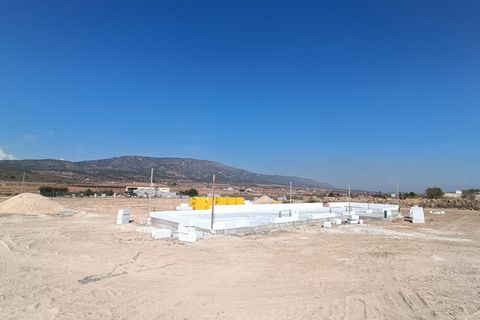 Villa i Pinoso, Alicante, Pinoso - € 370.000 | Ref: AMAM-VILLA ESPLIEGO - foto 19