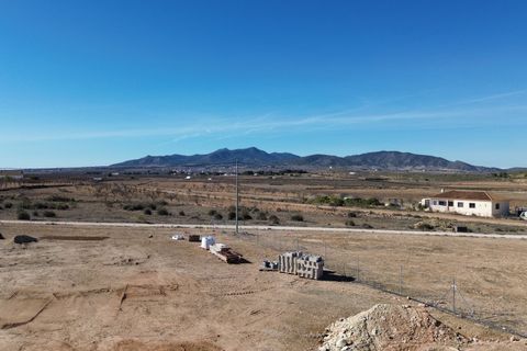 Villa i Pinoso, Alicante, Pinoso - € 370.000 | Ref: AMAM-VILLA ESPLIEGO - foto 30