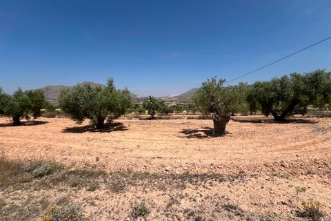 Helårsgrund i Barbarroja, Alicante, Barbarroja - € 65.000 | Ref: AMAM-PARCMJCU - foto 1