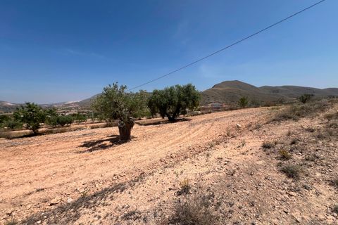 Helårsgrund i Barbarroja, Alicante, Barbarroja - € 65.000 | Ref: AMAM-PARCMJCU - foto 2