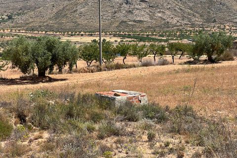 Helårsgrund i Barbarroja, Alicante, Barbarroja - € 65.000 | Ref: AMAM-PARCMJCU - foto 3