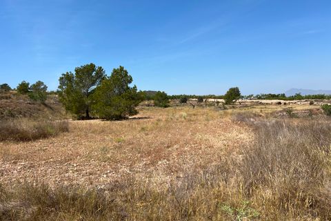 Helårsgrund i Barbarroja, Alicante, Barbarroja - € 65.000 | Ref: AMAM-PARCMJCU - foto 4