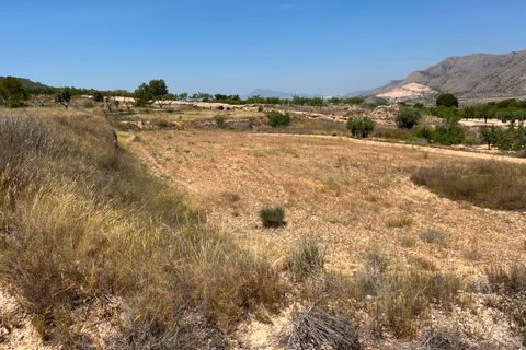 Helårsgrund i Barbarroja, Alicante, Barbarroja - € 65.000 | Ref: AMAM-PARCMJCU - foto 6