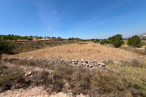 Helårsgrund i Barbarroja, Alicante, Barbarroja - € 65.000 | Ref: AMAM-PARCMJCU - foto 7
