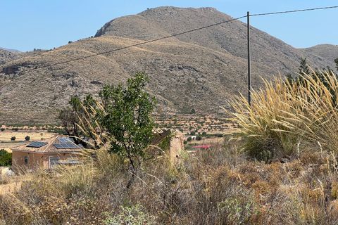 Helårsgrund i Barbarroja, Alicante, Barbarroja - € 65.000 | Ref: AMAM-PARCMJCU - foto 8