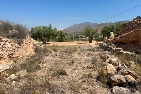 Helårsgrund i Barbarroja, Alicante, Barbarroja - € 65.000 | Ref: AMAM-PARCMJCU - foto 17