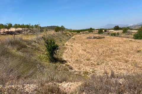 Helårsgrund i Barbarroja, Alicante, Barbarroja - € 65.000 | Ref: AMAM-PARCMJCU - foto 23