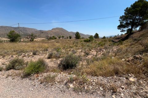Helårsgrund i Barbarroja, Alicante, Barbarroja - € 65.000 | Ref: AMAM-PARCMJCU - foto 25