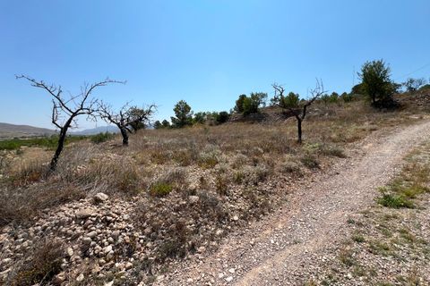 Helårsgrund i Barbarroja, Alicante, Barbarroja - € 65.000 | Ref: AMAM-PARCMJCU - foto 28