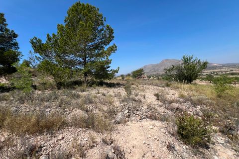 Helårsgrund i Barbarroja, Alicante, Barbarroja - € 65.000 | Ref: AMAM-PARCMJCU - foto 29