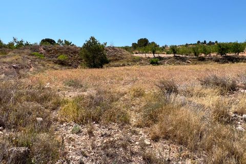 Helårsgrund i Barbarroja, Alicante, Barbarroja - € 65.000 | Ref: AMAM-PARCMJCU - foto 30