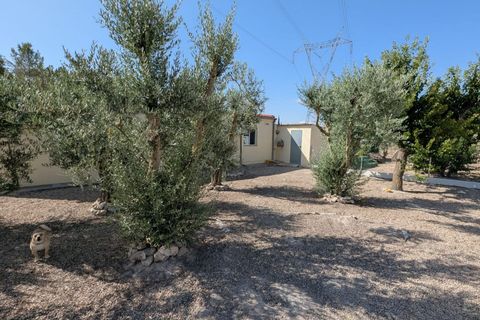 Landejendom i Sax, Alicante, Sax - € 209.000 | Ref: GRU08638 - foto 26