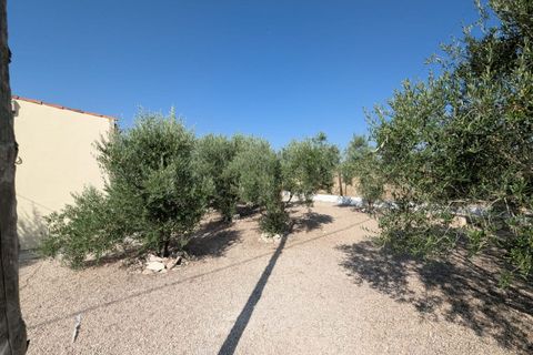 Landejendom i Sax, Alicante, Sax - € 209.000 | Ref: GRU08638 - foto 30