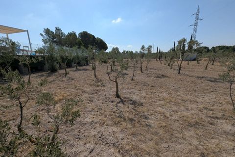 Landejendom i Sax, Alicante, Sax - € 209.000 | Ref: GRU08638 - foto 33