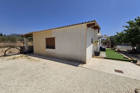 Villa i Sax, Alicante, Sax - € 229.995 | Ref: IVD13814 - foto 22
