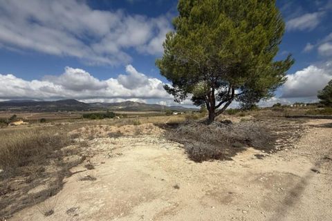 Helårsgrund i Monovar, Alicante, Monovar - € 12.000 | Ref: CC0644 - foto 1