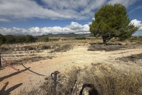 Helårsgrund i Monovar, Alicante, Monovar - € 12.000 | Ref: CC0644 - foto 5