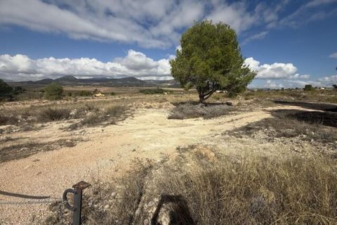 Helårsgrund i Monovar, Alicante, Monovar - € 12.000 | Ref: CC0644 - foto 6
