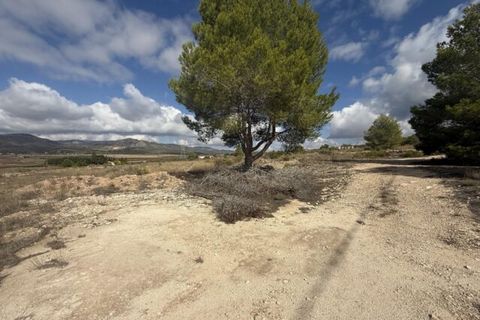 Helårsgrund i Monovar, Alicante, Monovar - € 12.000 | Ref: CC0644 - foto 7
