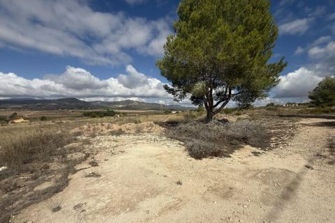 Helårsgrund i Monovar, Alicante, Monovar - € 12.000 | Ref: CC0644 - foto 8