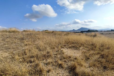 Helårsgrund i Sax, Alicante, Sax - € 45.000 | Ref: IVD13818 - foto 12