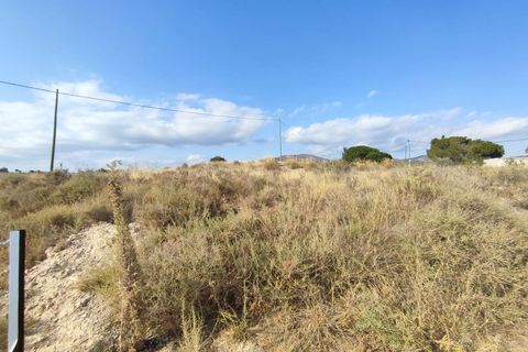 Helårsgrund i Sax, Alicante, Sax - € 45.000 | Ref: IVD13818 - foto 14
