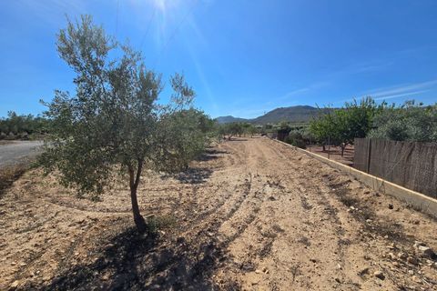 Helårsgrund i Salinas, Alicante, Salinas - € 60.500 | Ref: IVD13825 - foto 3