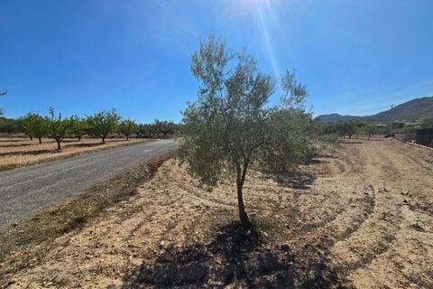 Helårsgrund i Salinas, Alicante, Salinas - € 60.500 | Ref: IVD13825 - foto 4