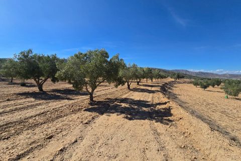 Helårsgrund i Salinas, Alicante, Salinas - € 60.500 | Ref: IVD13825 - foto 5