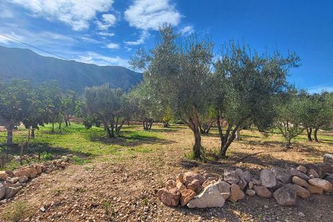 Villa i La Romana, Alicante, La Romana - € 275.000 | Ref: LJ2477 - foto 26