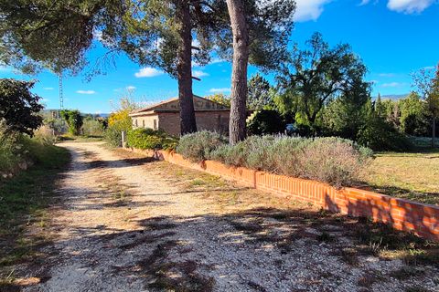Finca i Ontinyent, Valencia, Ontinyent - € 490.000 | Ref: LOSDH3535 - foto 3