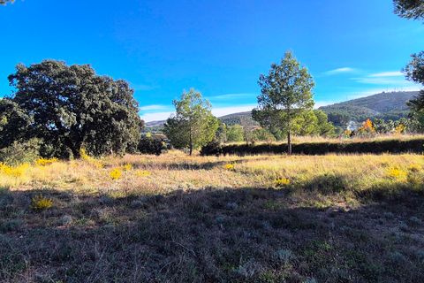 Finca i Ontinyent, Valencia, Ontinyent - € 490.000 | Ref: LOSDH3535 - foto 11