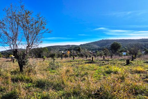 Finca i Ontinyent, Valencia, Ontinyent - € 490.000 | Ref: LOSDH3535 - foto 10