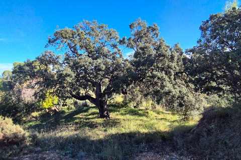 Finca i Ontinyent, Valencia, Ontinyent - € 490.000 | Ref: LOSDH3535 - foto 13