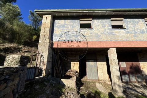 Landejendom i Vila Real, Vila Real, Vila Real - € 2.600.000 | Ref: 0112-2025 - foto 4