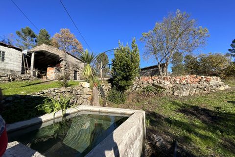 Landejendom i Vila Real, Vila Real, Vila Real - € 2.600.000 | Ref: 0112-2025 - foto 5
