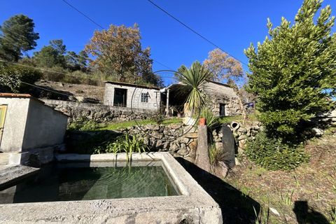 Landejendom i Vila Real, Vila Real, Vila Real - € 2.600.000 | Ref: 0112-2025 - foto 6