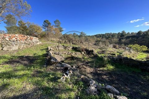 Landejendom i Vila Real, Vila Real, Vila Real - € 2.600.000 | Ref: 0112-2025 - foto 7