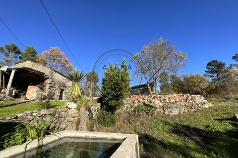 Landejendom i Vila Real, Vila Real, Vila Real - € 2.600.000 | Ref: 0112-2025 - foto 9