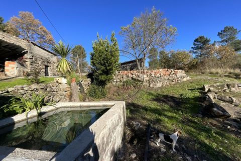 Landejendom i Vila Real, Vila Real, Vila Real - € 2.600.000 | Ref: 0112-2025 - foto 10