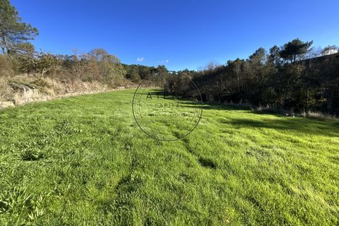 Landejendom i Vila Real, Vila Real, Vila Real - € 2.600.000 | Ref: 0112-2025 - foto 13