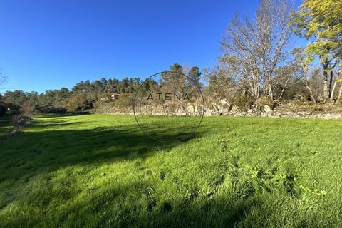 Landejendom i Vila Real, Vila Real, Vila Real - € 2.600.000 | Ref: 0112-2025 - foto 14