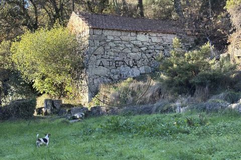 Landejendom i Vila Real, Vila Real, Vila Real - € 2.600.000 | Ref: 0112-2025 - foto 15