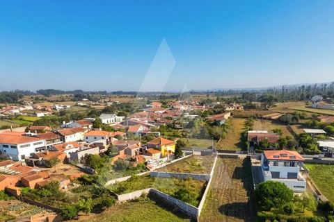 Helårsgrund i Estarreja, Aveiro, Estarreja - € 72.500 | Ref: 1012390/25 GL - foto 9