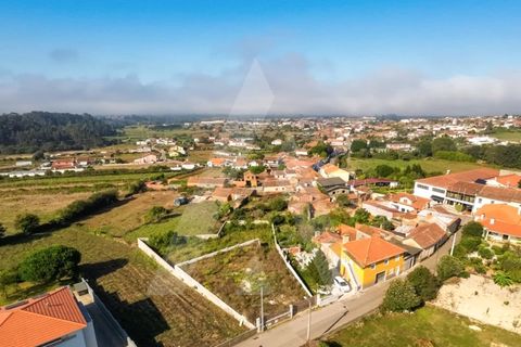 Helårsgrund i Estarreja, Aveiro, Estarreja - € 72.500 | Ref: 1012390/25 GL - foto 10