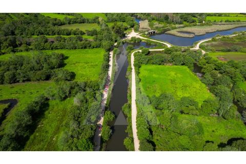 Helårsgrund i Estarreja, Aveiro, Estarreja - € 72.500 | Ref: 1012390/25 GL - foto 23